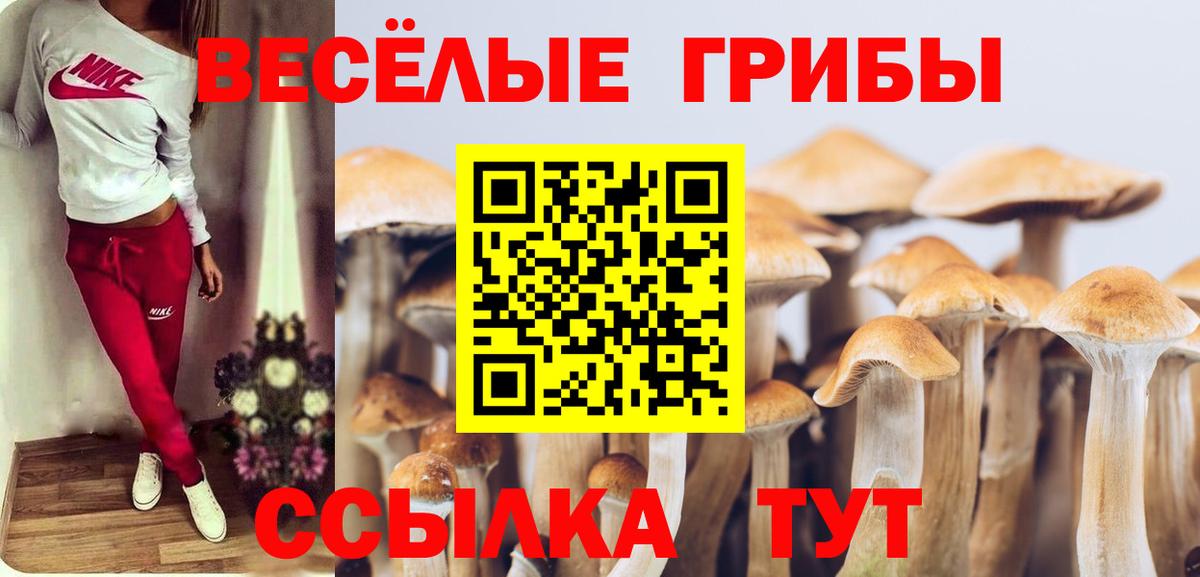Красноармейск  Гашиш  Вход с VPN  МДМА  МАРИХУАНА  МЕФ кристаллы  Alpha PVP СК  