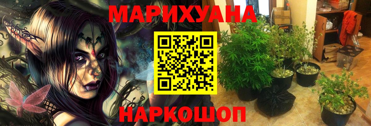 Бошки Шишки Bruce Banner Красноармейск
